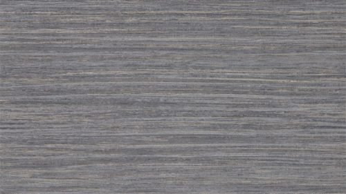 Oralia 111462
